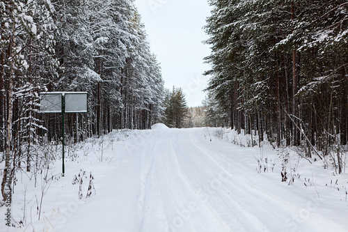 Winter dirt road covered with snow, coniferous forest. Russia