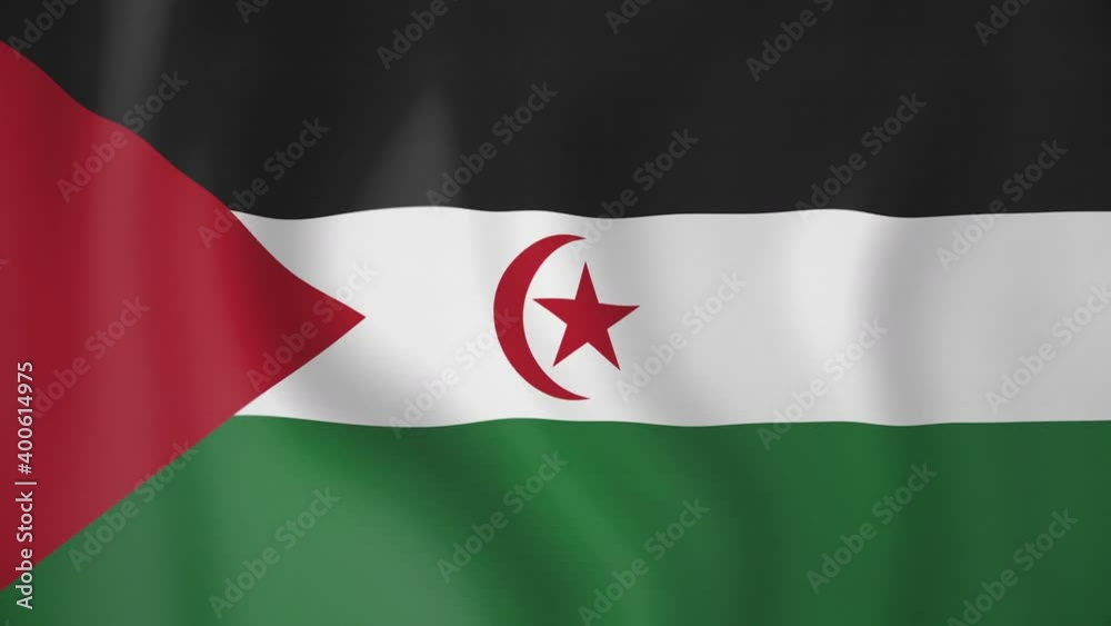 Western Sahara animated flag. Seamless loop. 4K Western Sahara animated flag. Seamless loop. 4K