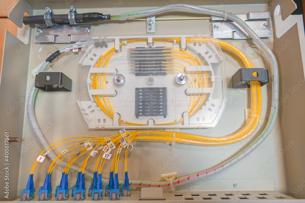 Inside Optical Patch Panel internal wiring of the optical patch panel in the wall cabinet for ...