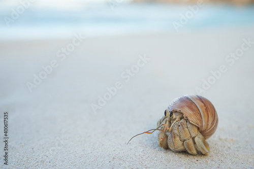 beach photo