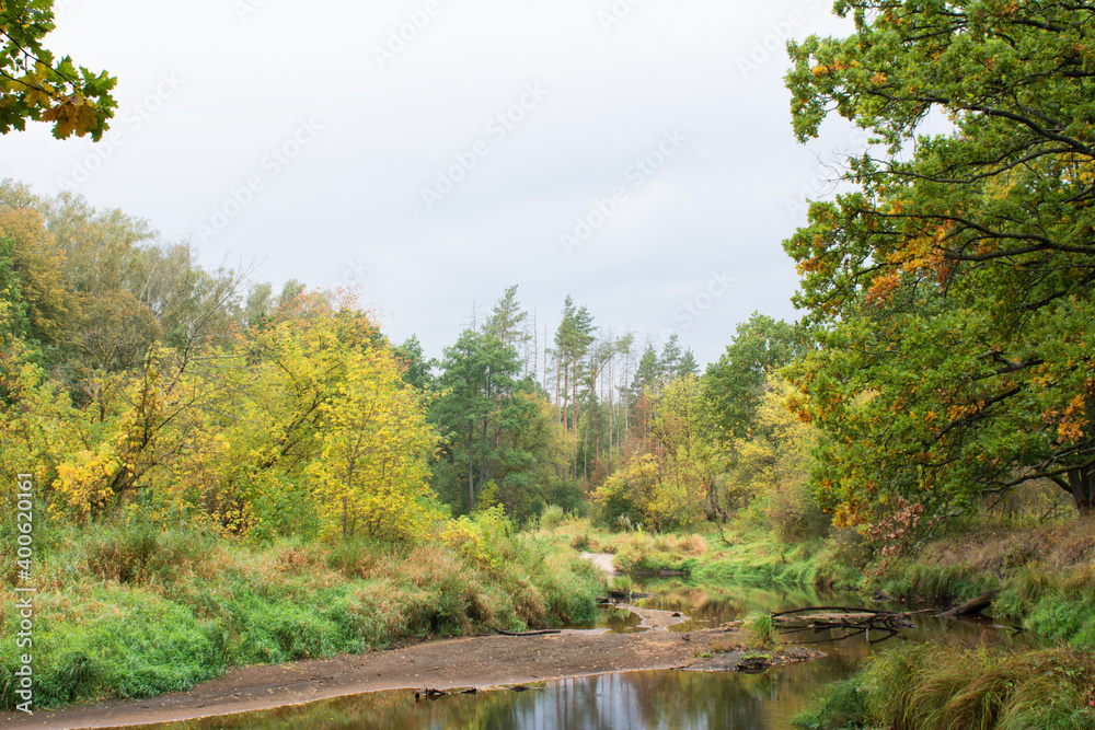 autumn in the forest autumn in the forest