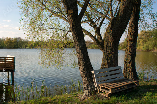 wooden bench in the park