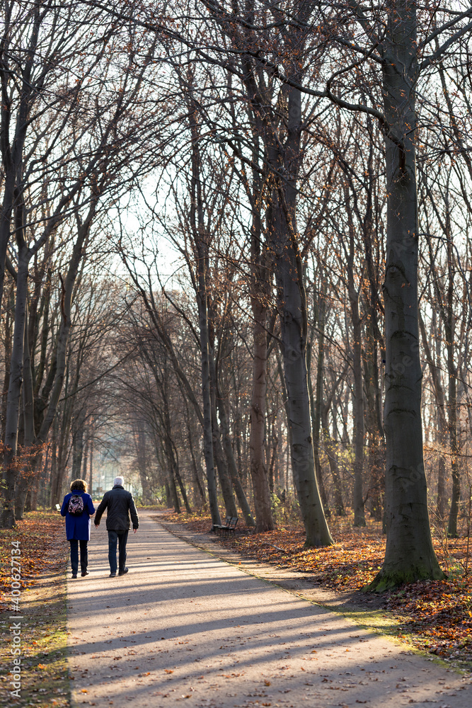 Back view of an unrecognizable senior couple walking down a path surrounded by leafless trees on a sunny autumn afternoon in a city park
