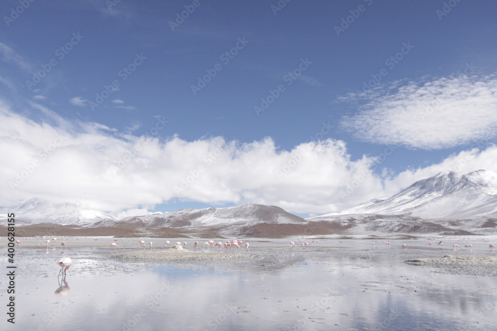 Landscape in Bolivia with blue skies, snow-covered mountains, and flamingos
