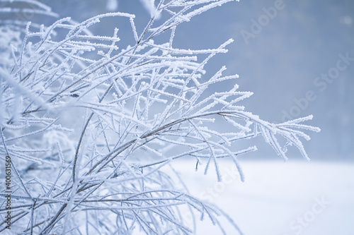 Gefrorene Winterlandschaft mit einem Wald und Nebel im Hintergrund. Eiseskälte im Januar.