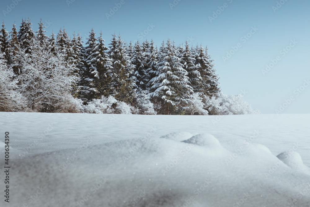 Obraz premium Winterpanorama mit Wald, Hintergrunddesign Weihnachtskarte, Schneelandschaft, Hintergrunddesign, Headergeeignet