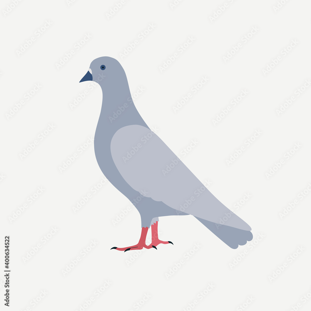 Fototapeta premium Pigeon dove icon vector isolated on white background