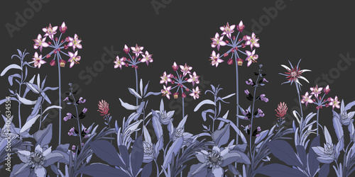 Vector floral seamless pattern, border with pink and purple flowers, blue and violet herbs. Vector plant isolated on a dark grey background. Garden at night.