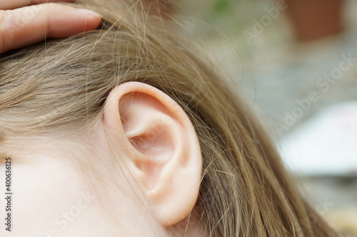 Fototapeta kuchenna oreille