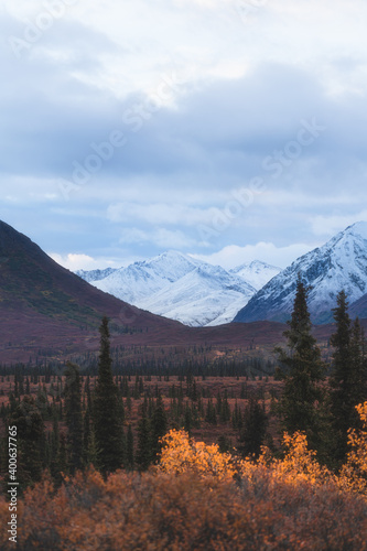 First Snow
