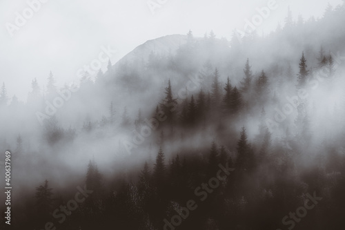 Foggy Morning  © George Kerr