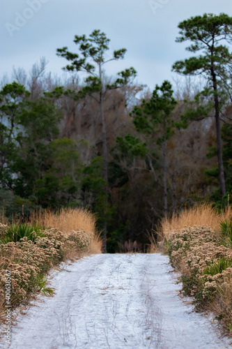 Fire Service Roads Protecting Beautiful Federal and State Forests