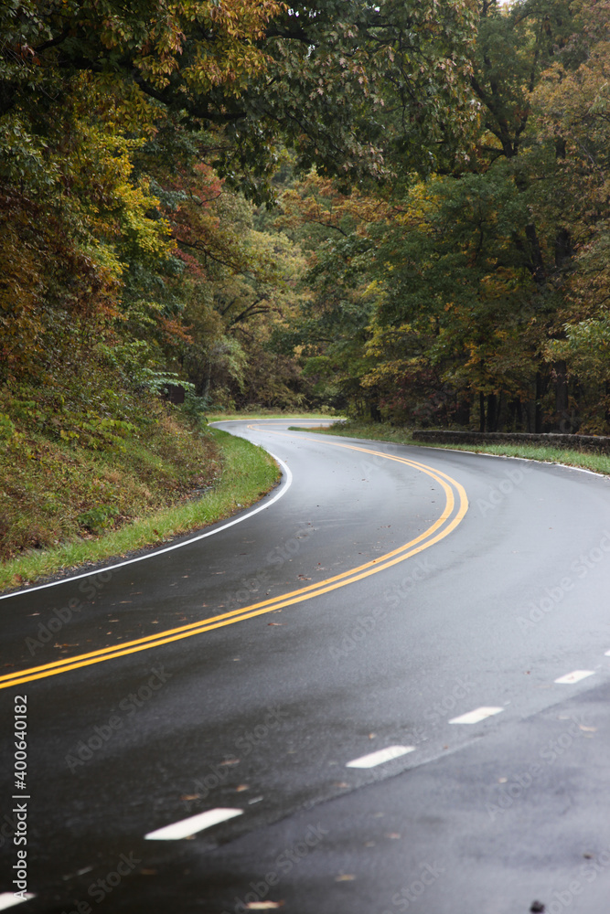 Fototapeta premium Path through the woods