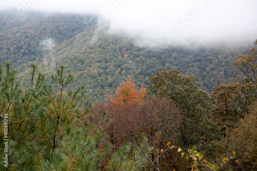 Mountain with a low cloud in the morning © Allen Penton