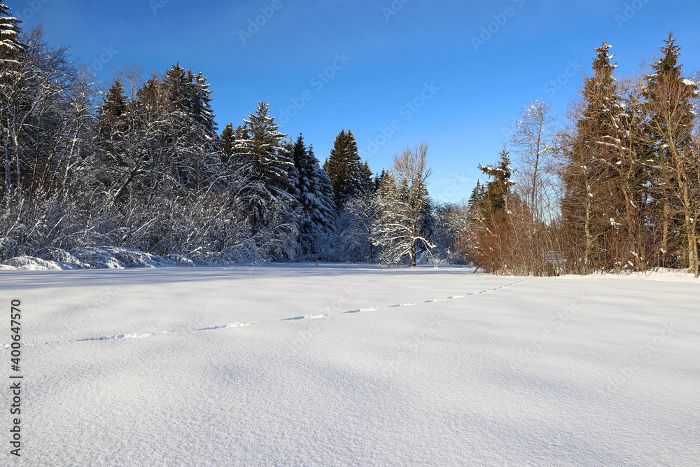 Winterlandschaft in Bayern mit Tierspuren im hochen Schnee Winterlandschaft in Bayern mit Tierspuren im hochen Schnee