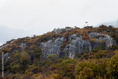 Rock formations and vegetation in the Cradle Mountain-Lake St Clair national park photo