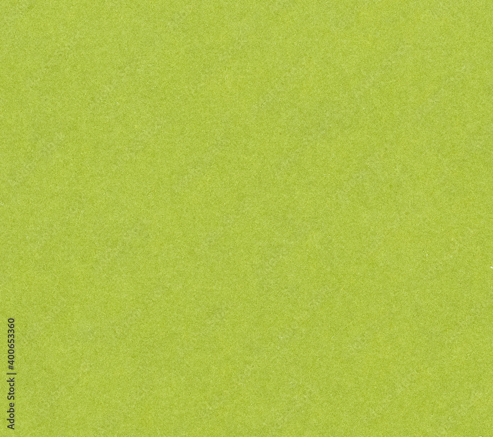 Obraz premium green paper texture background