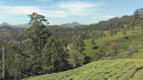 Wallpaper Mural Aerial 4k drone footage panning the beautiful landscape of a valley of the Western Ghats mountain range near the countryside tea plantation town of Munnar, India. Torontodigital.ca