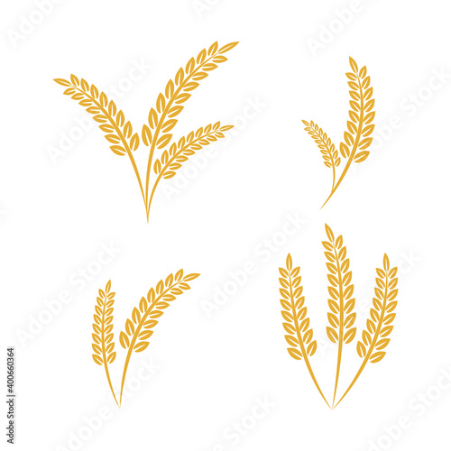 Agriculture wheat set vector Illustration design template. elements of wheat grain, wheat ears, seed or rye, prosperity symbol	
