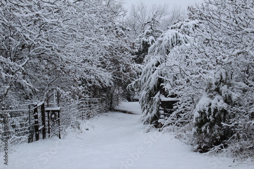 Snowy Path in the Woods of Oklahoma