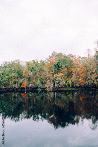 Winter Landscape of Hillsborough river at Tampa, Florida © Feng
