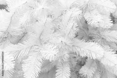 Fototapeta Naklejka Na Ścianę i Meble -   White grey tone Christmas Tree branches pattern. Abstract Christmas background.