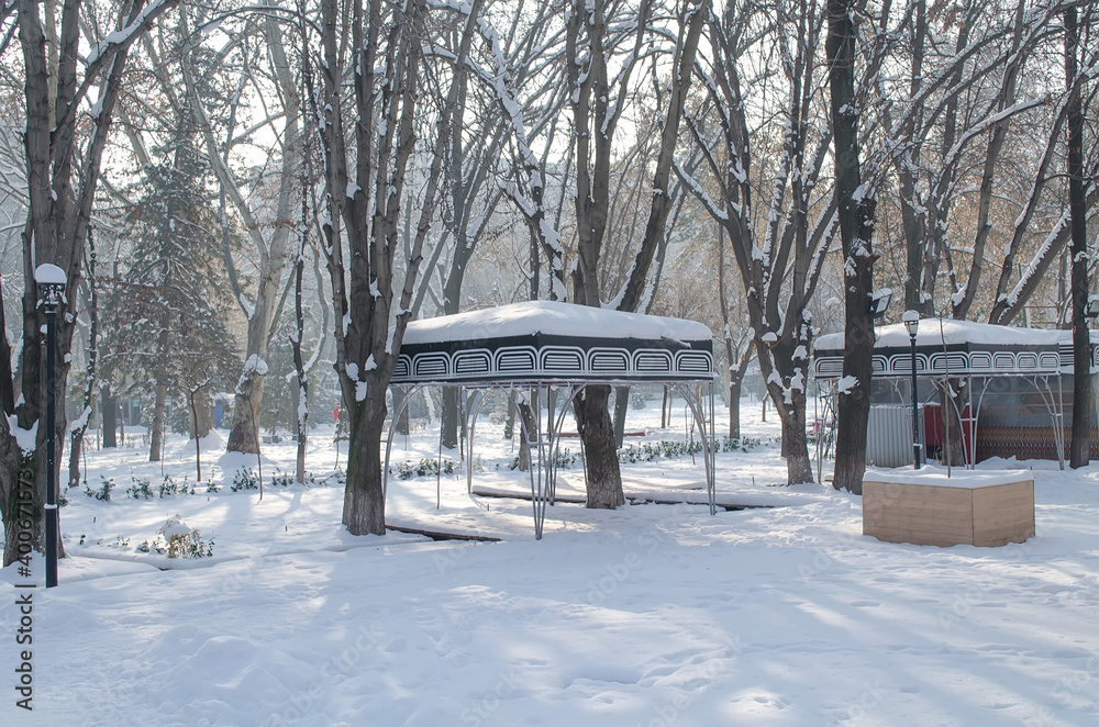 Winter landscape, a canopy in the form of a skullcap among the trees covered with snow in the city park