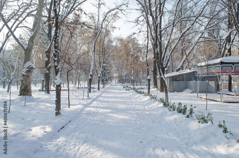 Winter landscape, alley, trees and cafes covered snow in the morning in the city park Winter landscape, alley, trees and cafes covered snow in the morning in the city park