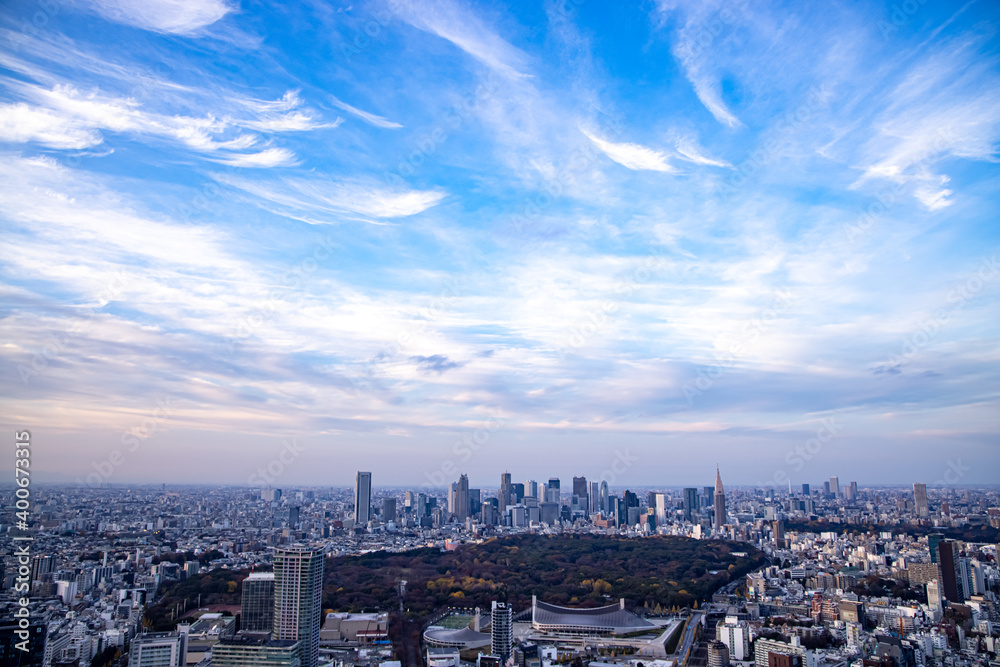 都市風景　：　東京　新宿方面を望む