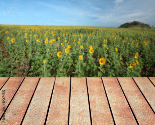 Wooden table with sunflower field background