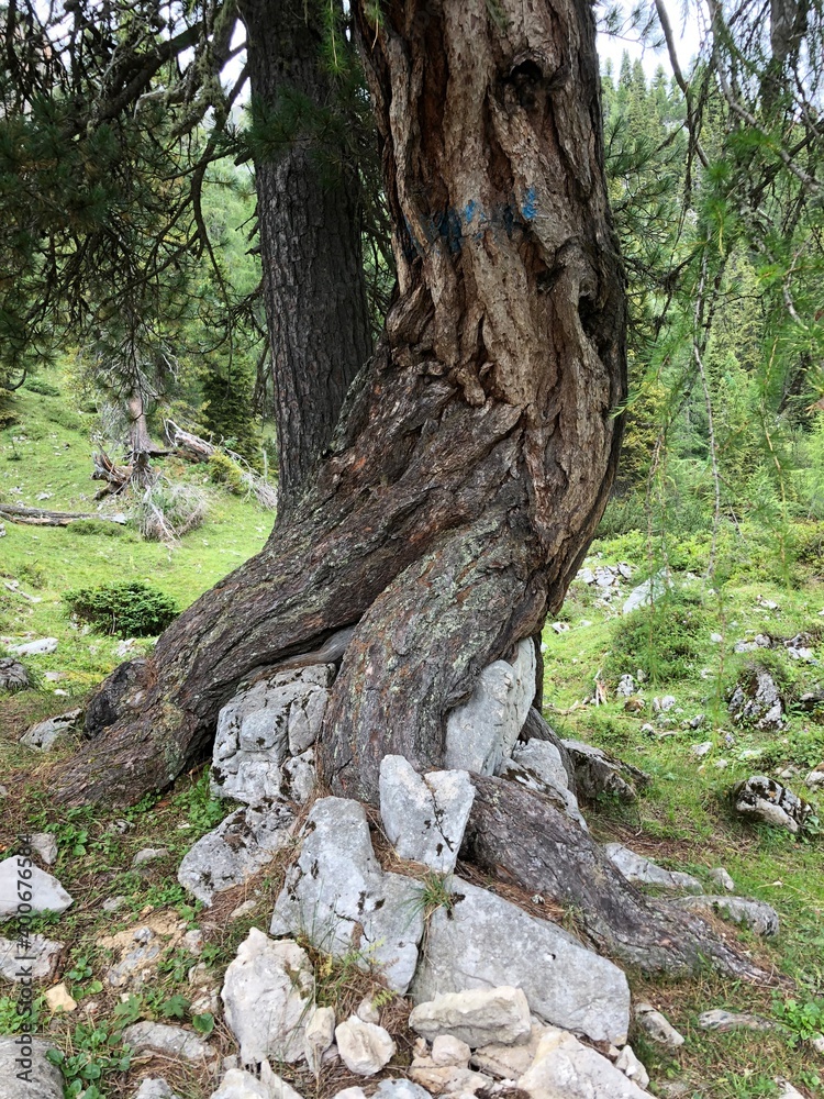 Achensee Tirol Österreich, Wanderweg vom Rofan nach Maurach im Herbst Achensee Tirol Österreich, Wanderweg vom Rofan nach Maurach im Herbst