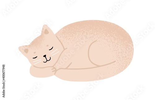Relaxed fluffy beige cat sleeping vector flat illustration. Cute domestic animal lying enjoying relaxation isolated on white. Funny kitten with furry tail asleep. Happy pet resting with closed eyes