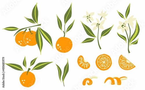 Oranges set. Exotic tropical orange citrus fresh fruit, whole juicy tangerine with green leaves and flowers, slice and orange peel, vector cartoon minimalistic style isolated illustration