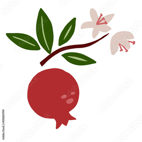 Pomegranate branch. Exotic tropical red fresh fruit, whole juicy garnet with green leaves and flowers, vector cartoon minimalistic style isolated illustration, print or poster, sticker