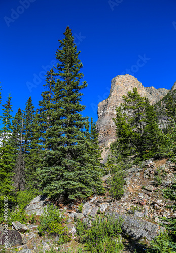 The beautiful Moraine Lake in Banff National Park photo