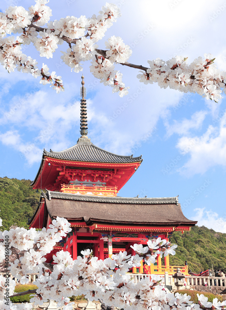 Kiyomizu-dera Temple and sakura flowers, Kyoto, Japan Kiyomizu-dera Temple and sakura flowers, Kyoto, Japan