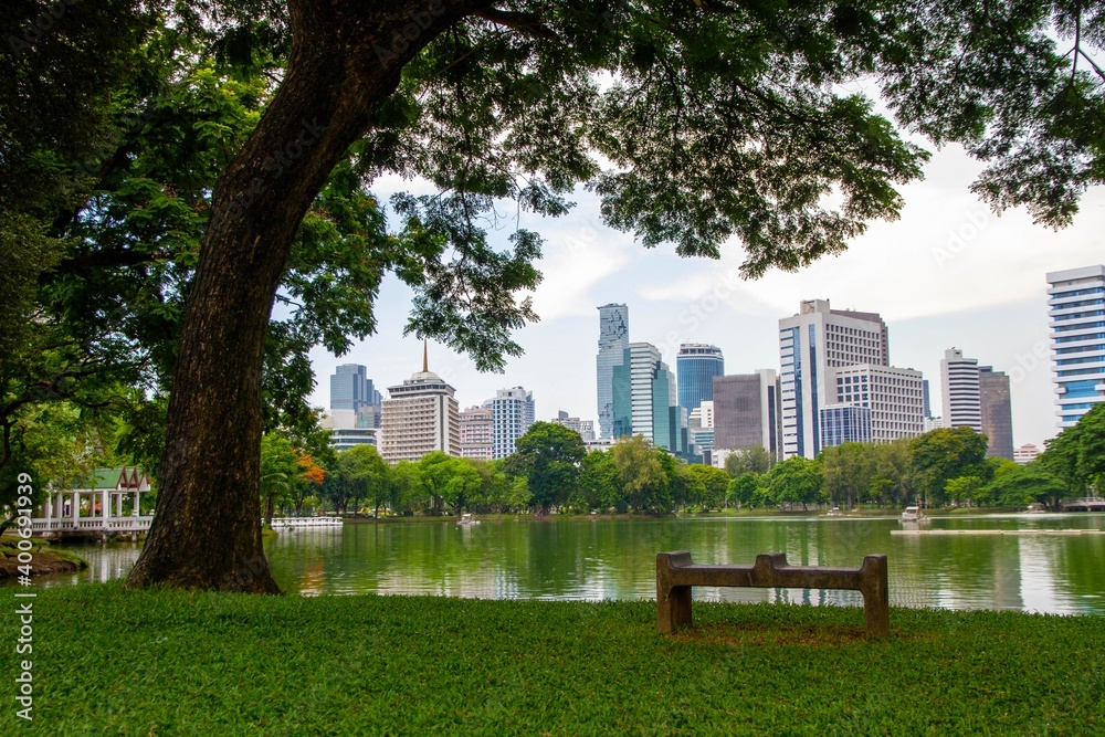Obraz premium Lumpini park with Bench and tree in Bangkok Thailand