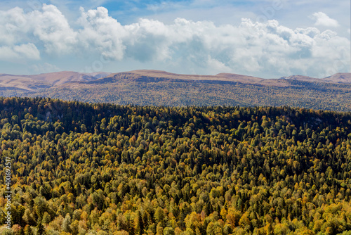 Panoramic view over mountains covered by forest
