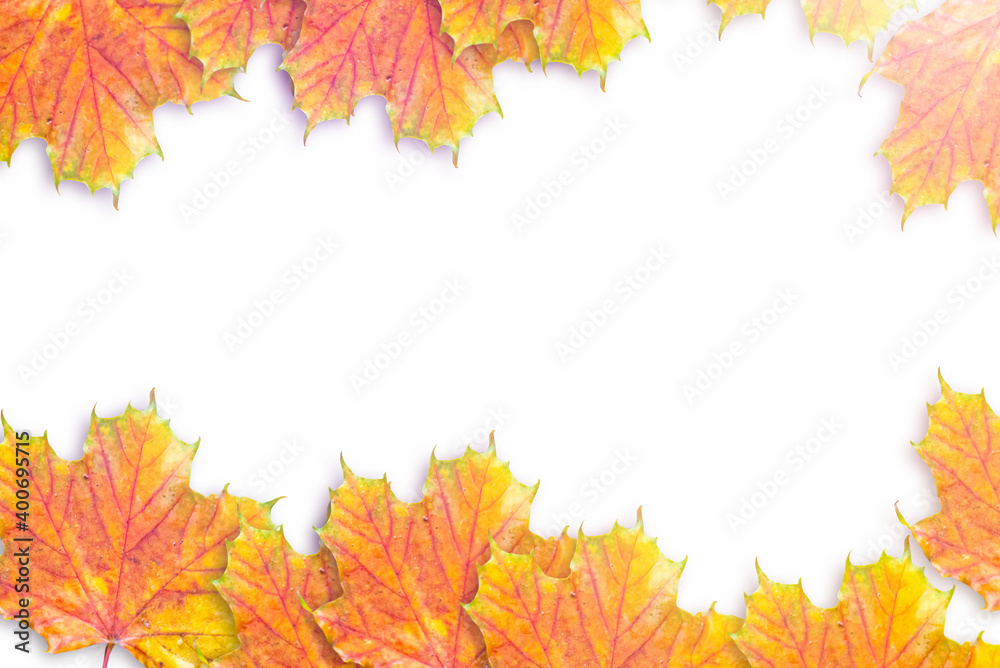 autumn leaves frame on white isolate background.