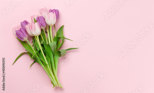 Pink tulips over pink background #400696393