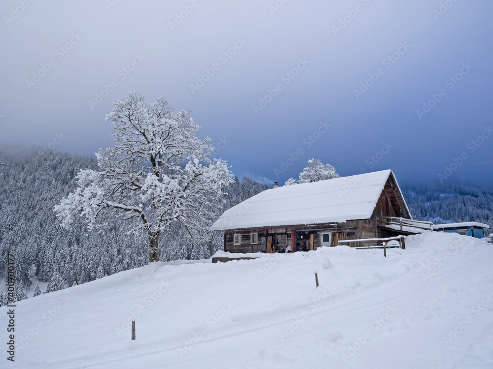 Snow-covered tree and alpine hut with a smoking chimney Snow-covered tree and alpine hut with a smoking chimney