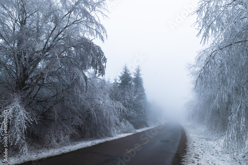 Zima v lese, Bílé Karpaty photo