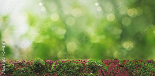 red bricks with green moss on a blurry background with unfocused light