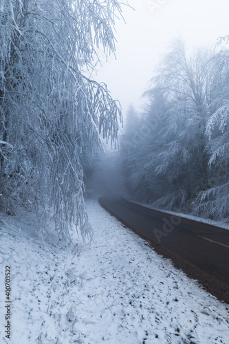 Zima v lese, Bílé Karpaty photo