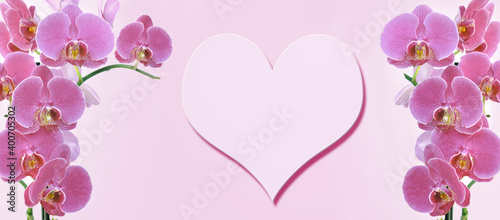 flowers on pink background  in panoramic view with in the center an heart