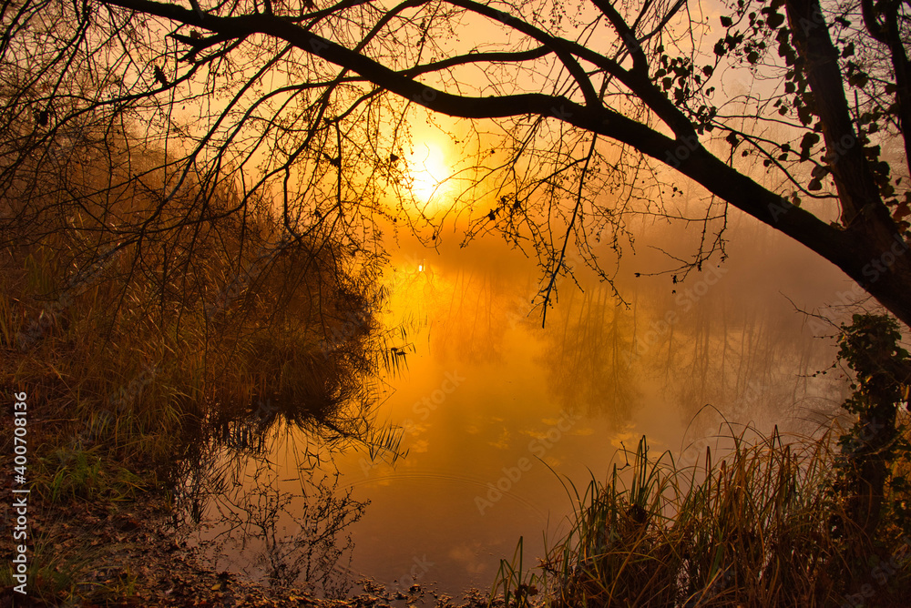 Sonnenaufgang im Grand Ried im Elsass Sonnenaufgang im Grand Ried im Elsass