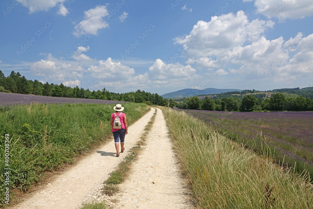 Obraz premium Frau am Plateau de Sault, Provence