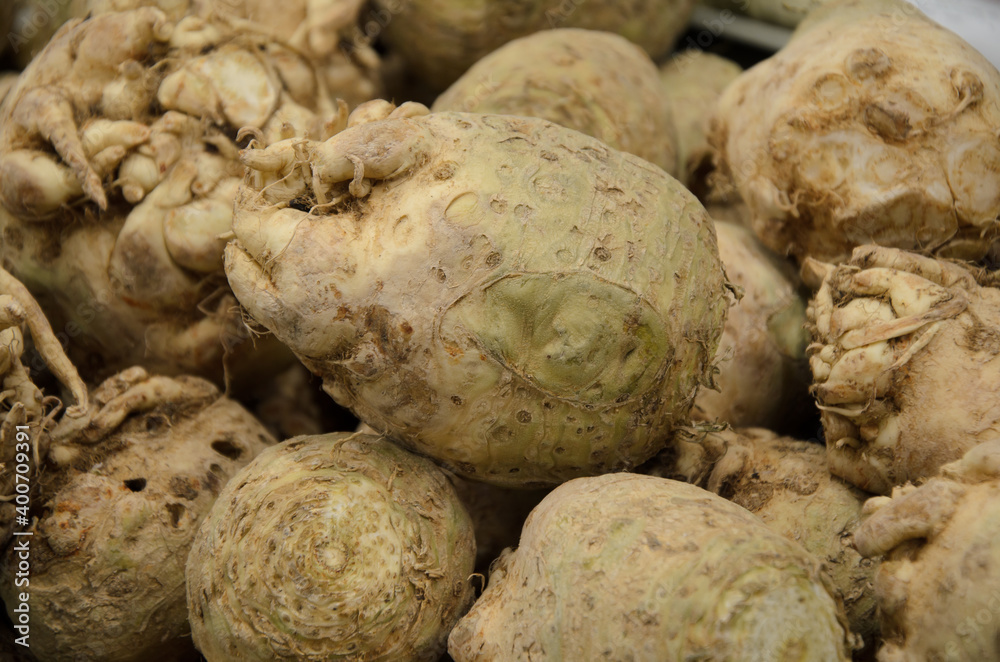 Fototapeta premium Close-up of ugly celery root on counter farm market. Popular and affordable vegetables in the supermarket. Organic vegetables for vegetarian food.