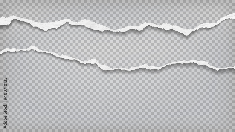 Pieces of torn, ripped white paper strips with soft shadow are on grey transparent background for text. Vector illustration Pieces of torn, ripped white paper strips with soft shadow are on grey transparent background for text. Vector illustration