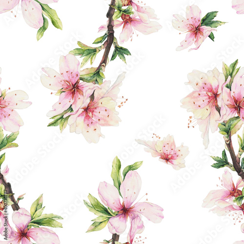 Almond blossom seamless background. Watercolor illustration